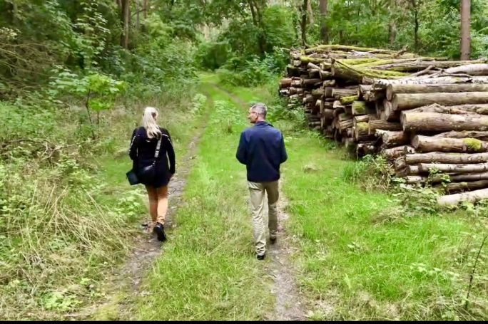 Zwei Personen gehen einen Waldweg entlang, neben Holzstapeln im Hintergrund.