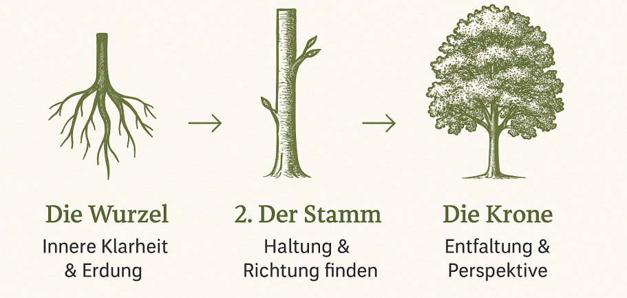 Konzept für Naturcoaching Wurzeln, Stamm und Krone symbolisieren Wachstum und persönliche Entwicklung.
