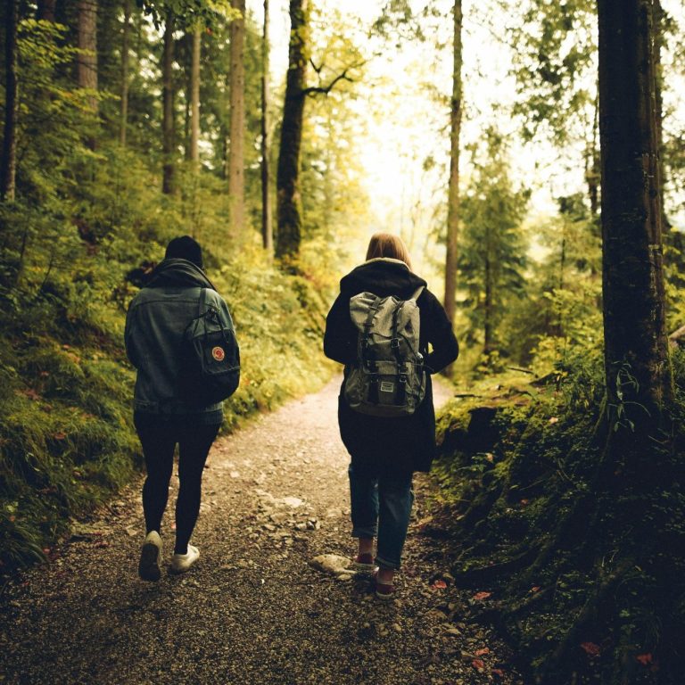 Zwei Personen gehen einen Waldweg entlang, umgeben von Bäumen und natürlichem Licht.